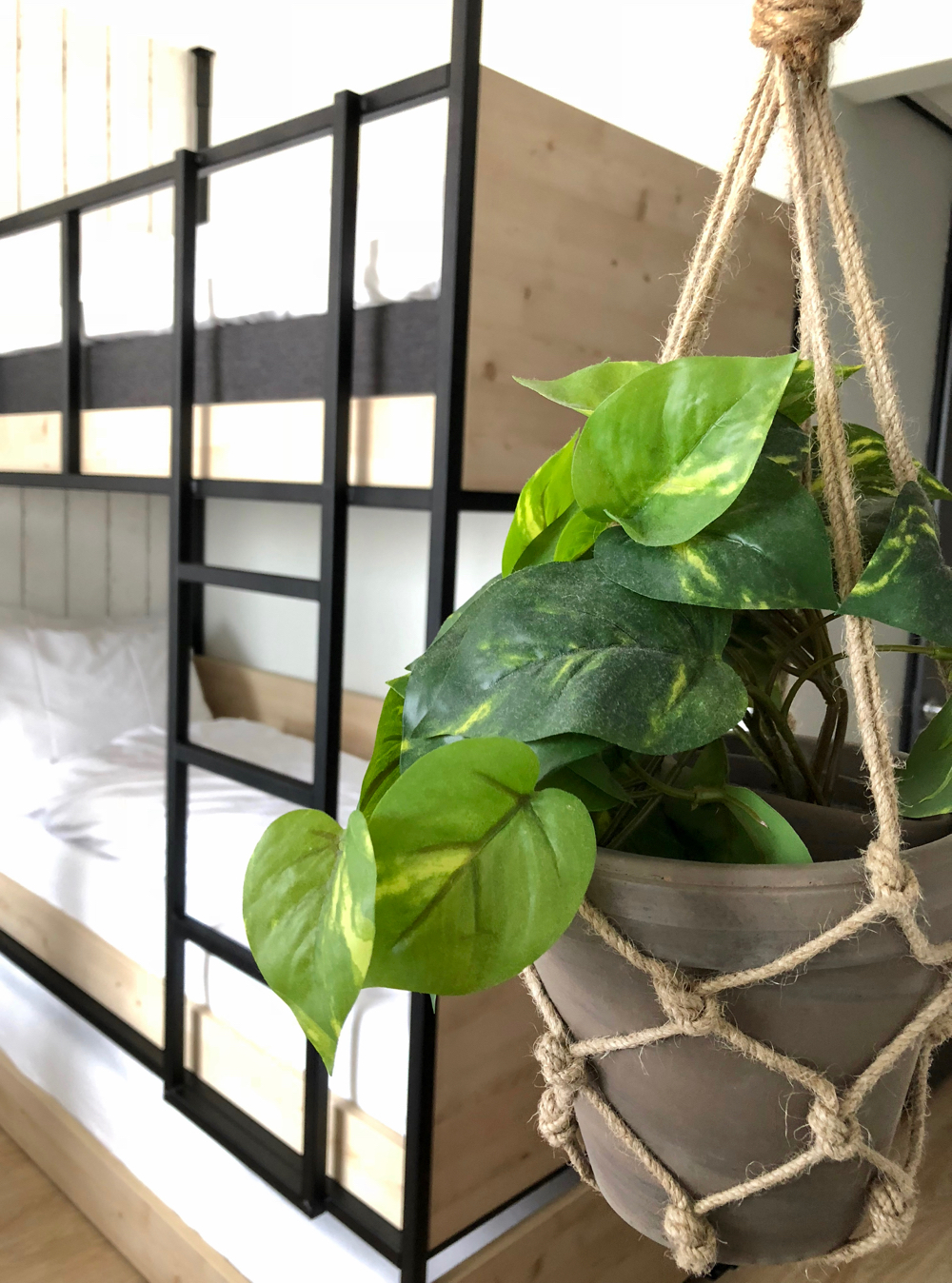 Plant met op de achtergrond een stoer stapelbed