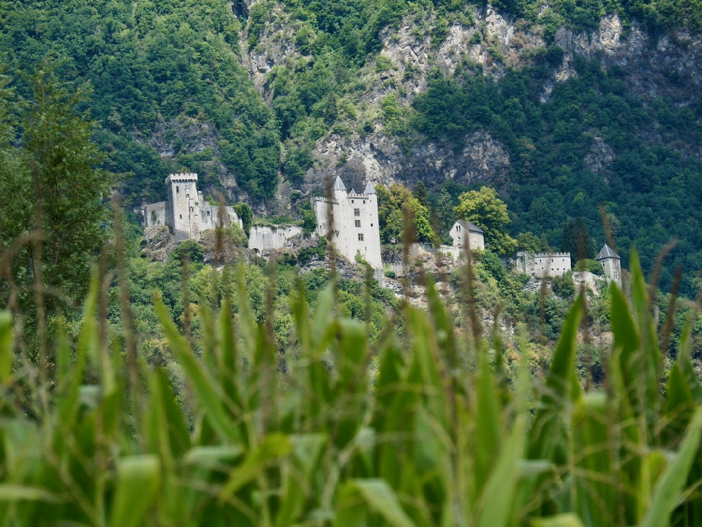 Door de maisbladeren heen zicht op het chateau van Miolans