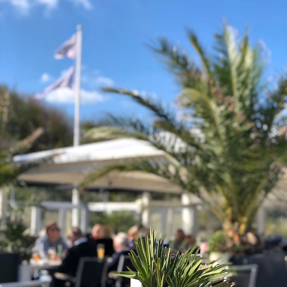 Palmbomen op het terras van strandpaviljoen aan de Noordzee