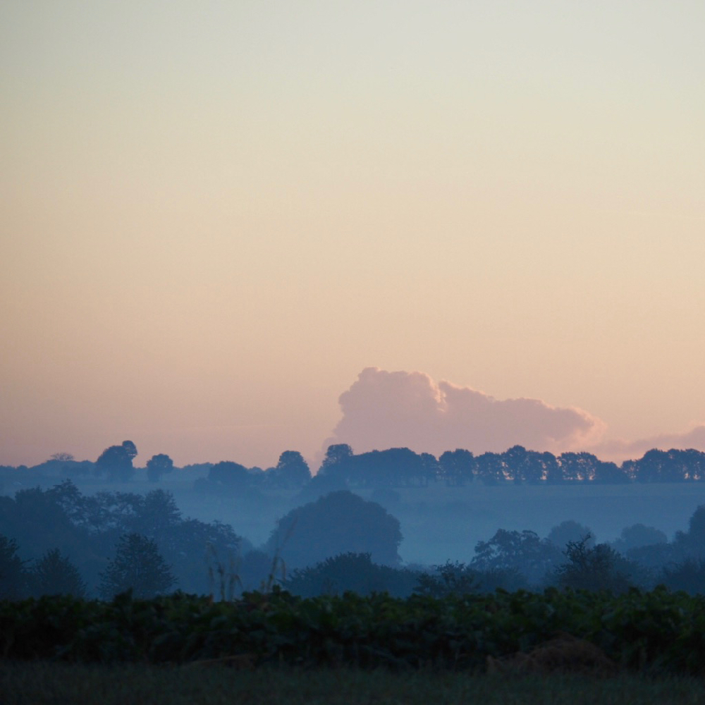Heuvels in het vroege ochtendlicht