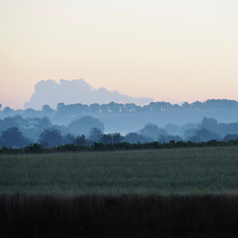 Ochtendgloren boven het Limburgse Heuvelland