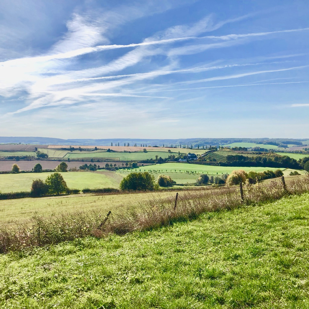 Het glooiende landschap met cipressen, in Limburg. Lijkend op Toscane.