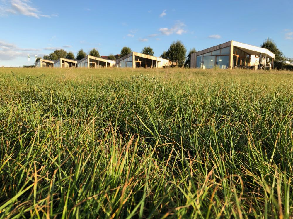 Vijf unieke vakantiehuizen met grote glazen gevels, in het gras.