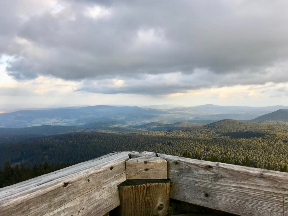 Het uitzicht over de bossen vanaf de uitkijktoren in Boubín oerbos