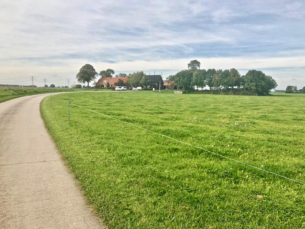 De lange oprijlaan naar zuivelboerderij Erf-1 op het Kampereiland in de IJsseldelta