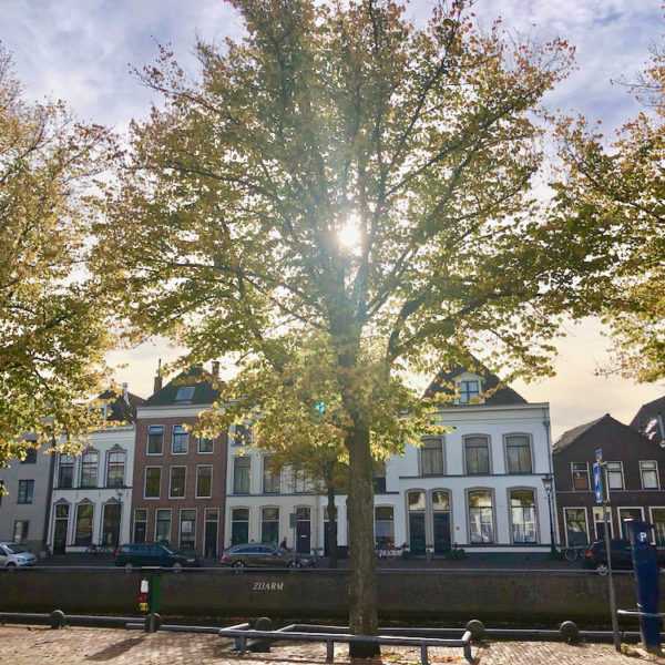 Hanzestad Kampen ligt in de IJsseldelta. Een typisch stadsgezicht van gevels en de zon die door de bomen schijnt.