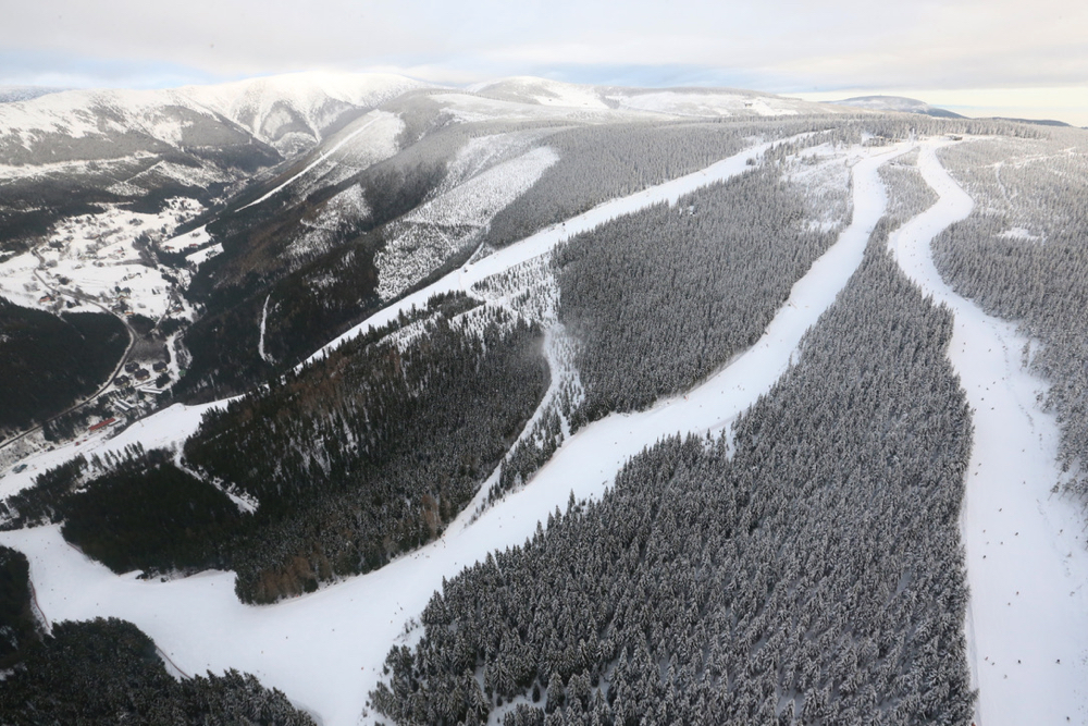 Lange pistes tussen de dennenbomen in Tsjechië