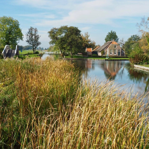 Hier wil je zijn, bij het dorpje Dwarsgracht in Weerribben-Wieden