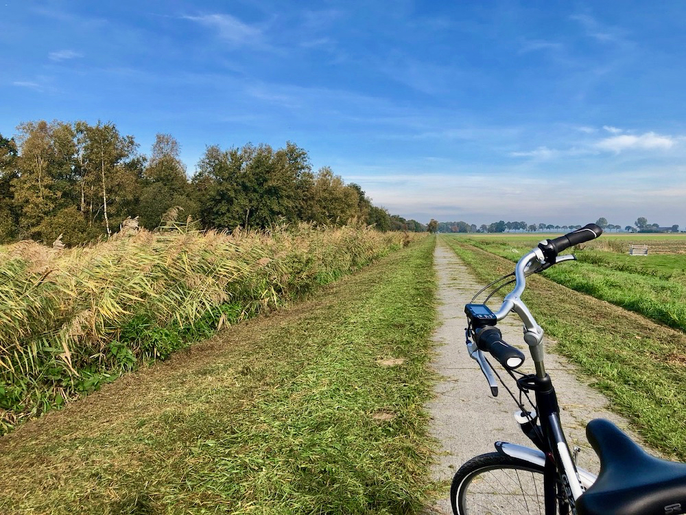 Een fiets op een recht fietspad langs een kraag van riet en een blauwe lucht