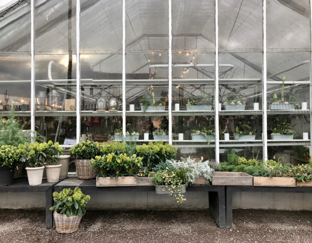 Een kas met banken ervoor vol met kistjes en planten bakken vol groen