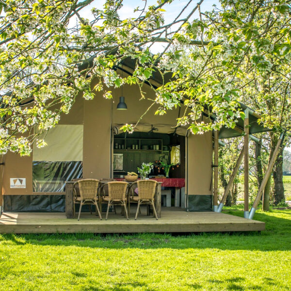 Safaritent van Voedselbron Graauw met veranda met tafels en stoelen