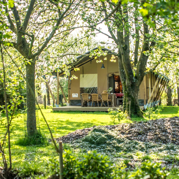 Logeren in een voedselbos, een safaritent in het groen