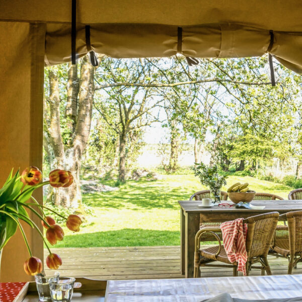 Doorkijk van binnen naar buiten, met tulpen en eettafel op de veranda