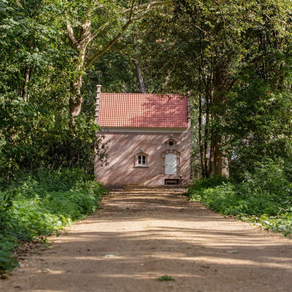 Vakantiehuis aan het einde van een oprijlaan, tussen de bomen