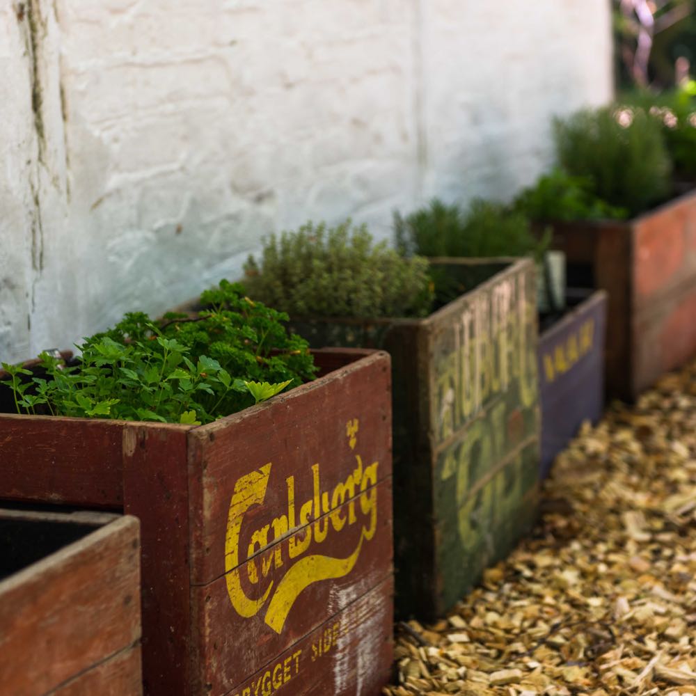 Kruidentuintjes in kratten