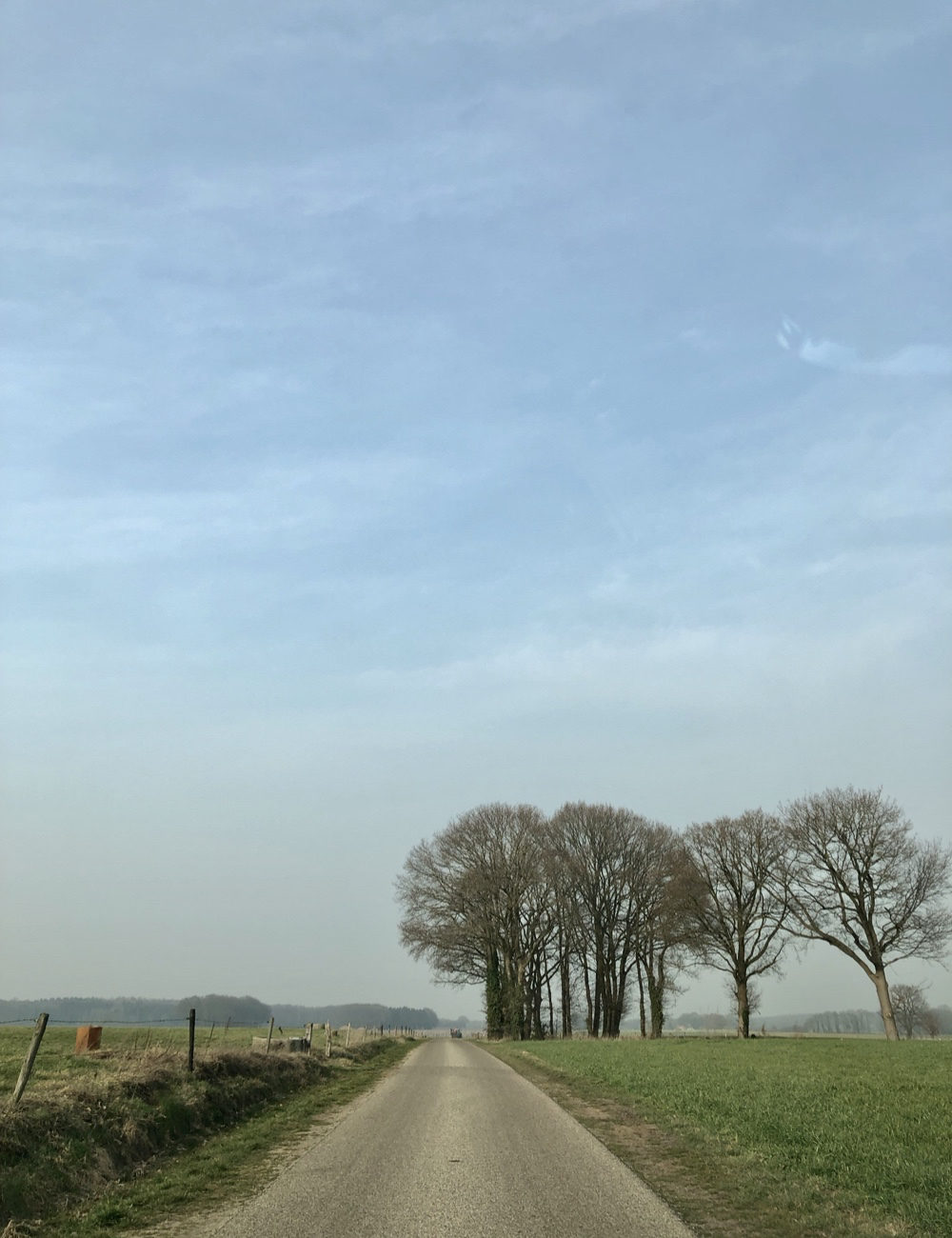 Landweggetje door de weilanden met aan de horizon een aantal bomen