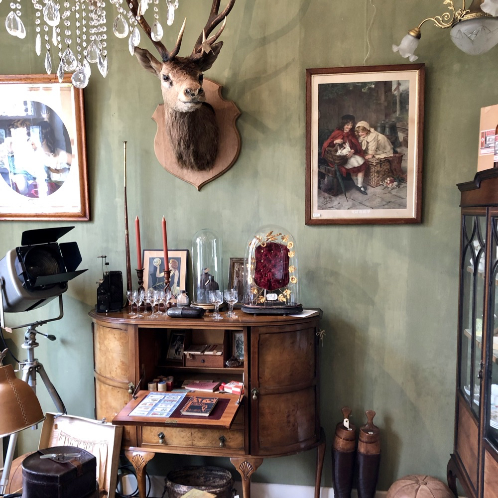 Kamer met groene wand, hertengewei en brocante/antiek