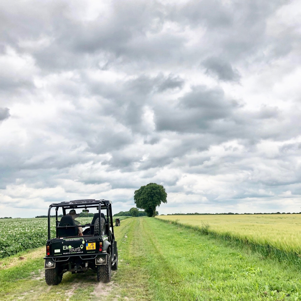 Terreinwagen op landweggetje met 1 boom aan de horizon