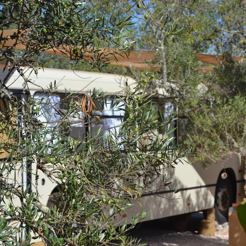 Omgebouwde bus tot vakantiehuis