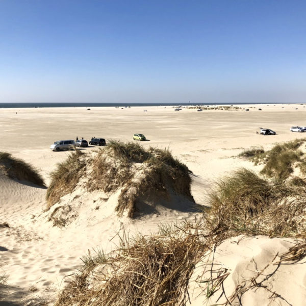 Een breed strand met auto's erop geparkeerd