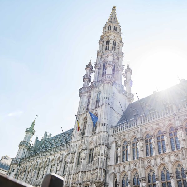 De Grote Markt in Brussel in het zonlicht