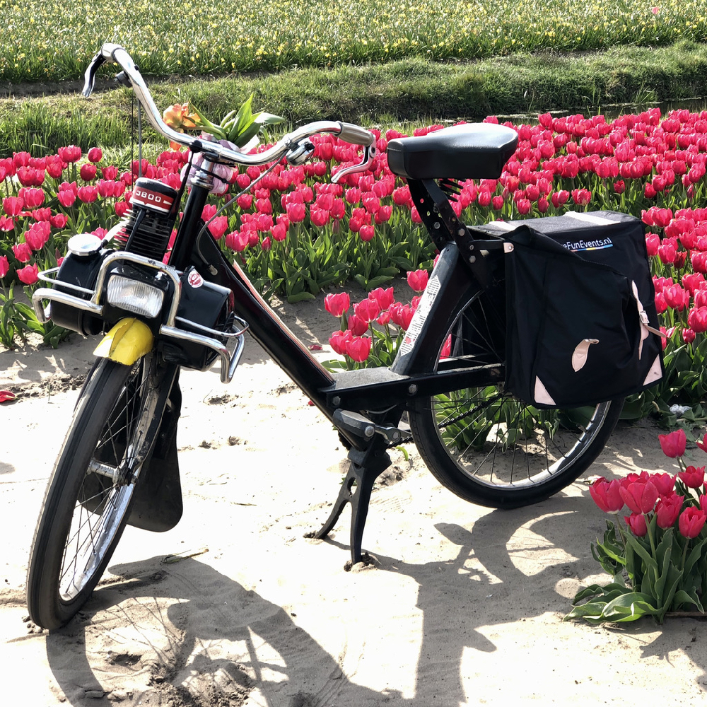 Een solex voor een bollenveld vol rode tulpen
