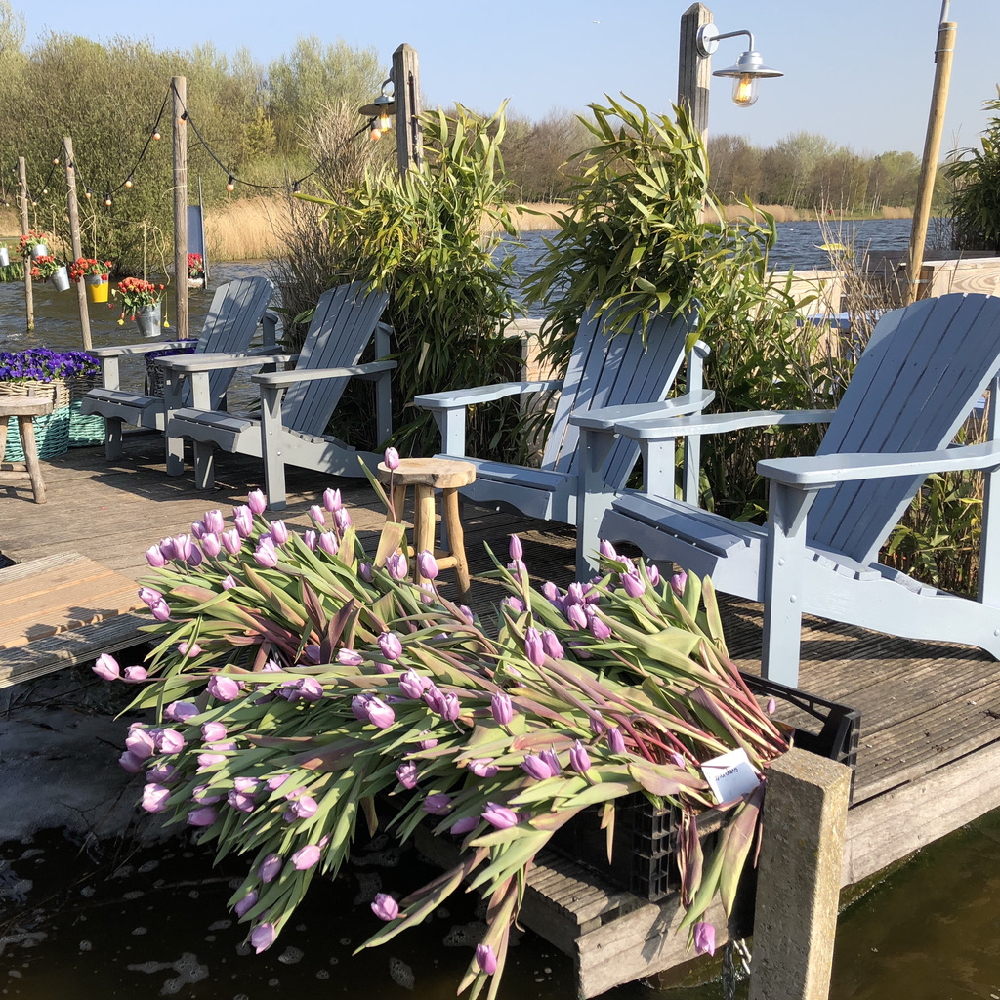 Blauwe beach chairs op een vlonder boven het water