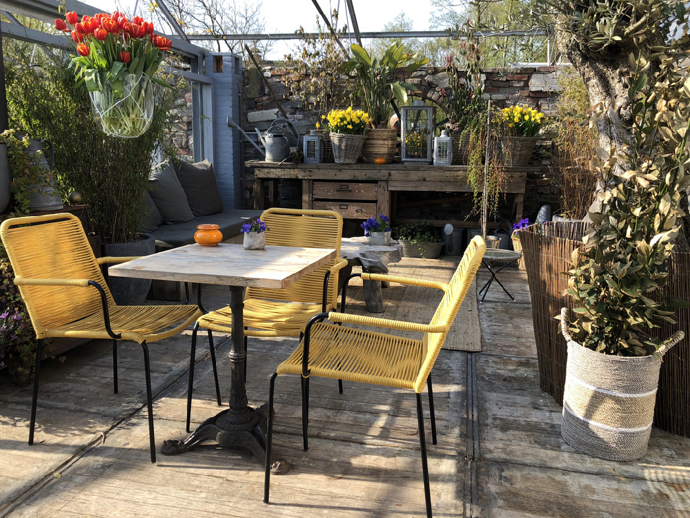 De serre van restaurant Como & Co met gele stoelen en bossen voorjaarsbloemen