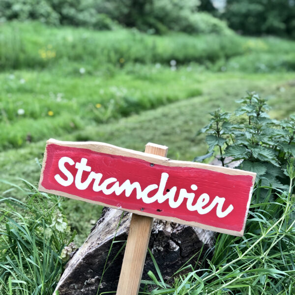 Bordje met de naam Strandvier