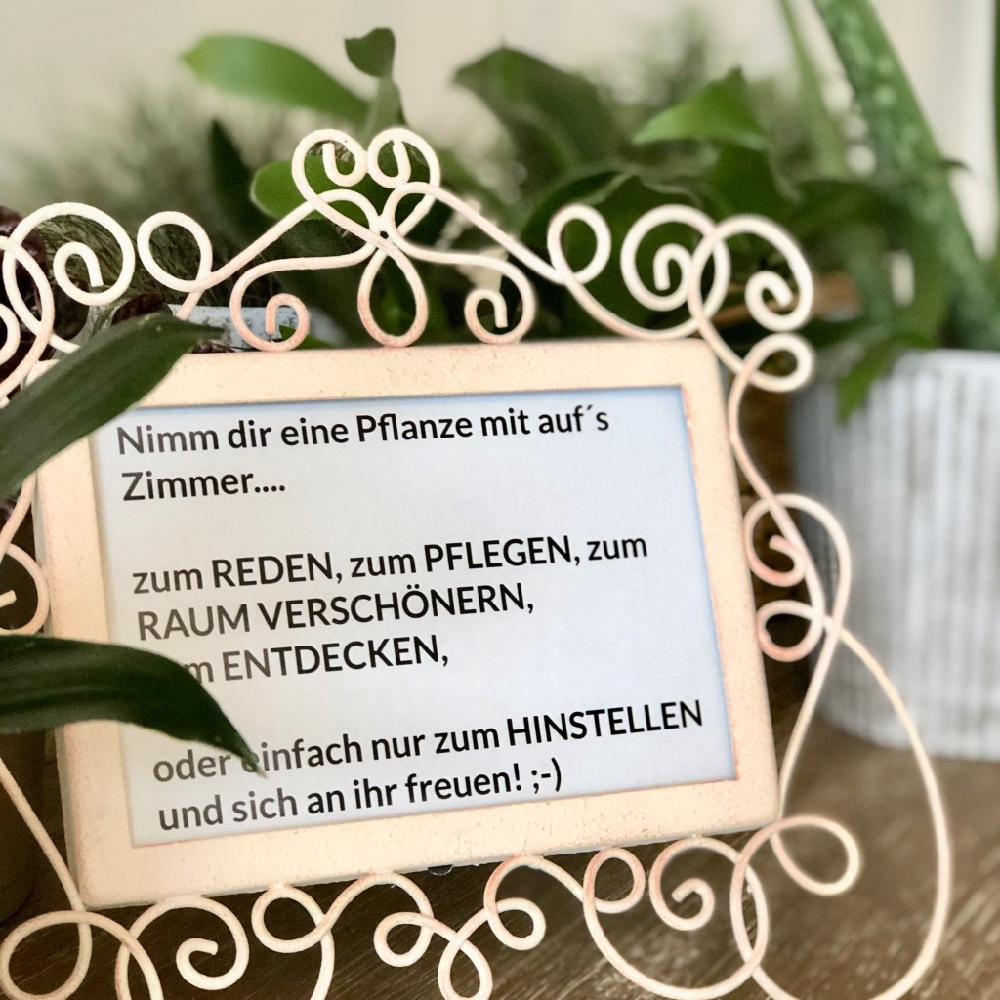 Een adoptie plant voor vakantiegangers