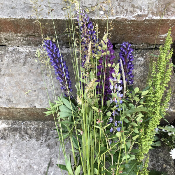 Veldboeket met lupines