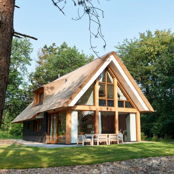 Vakantiehuis in het bos in Drenthe