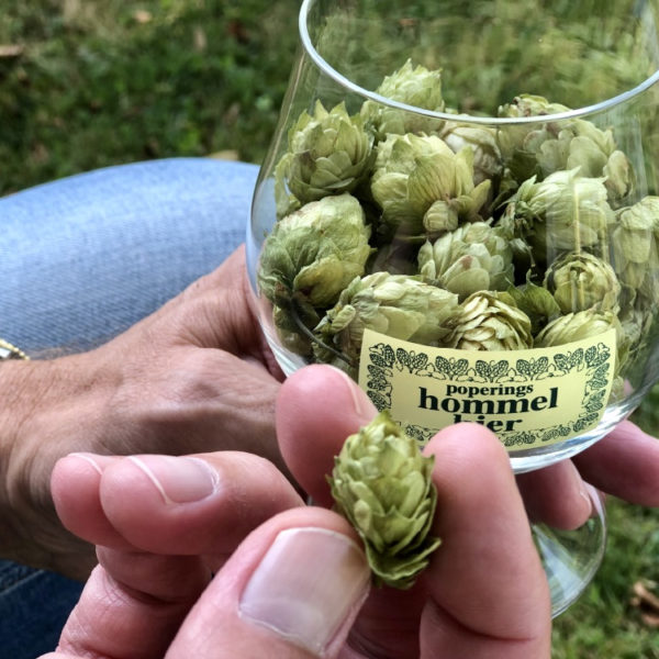 Glas vol hop
