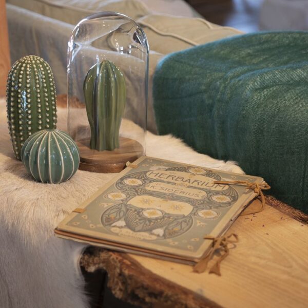 Moderne woonaccessoires in het vakantiehuis