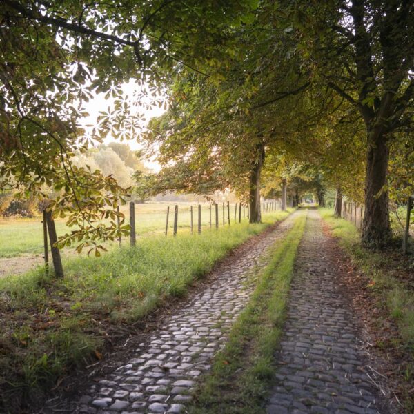 Wandelpad in België