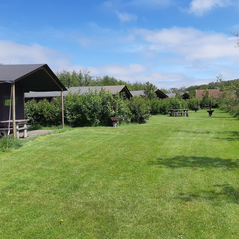 Rij safaritenten op de boerderij