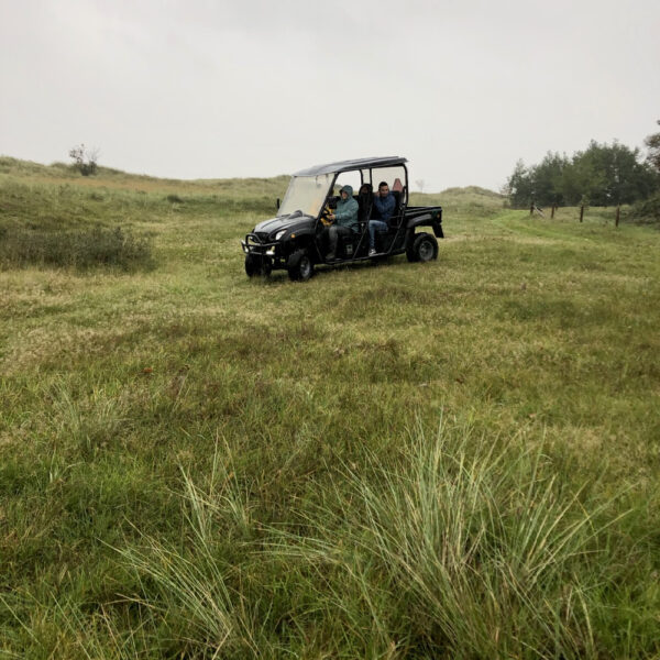 Safari in de natuur op Ameland