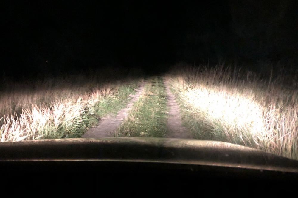 In de auto in het donker