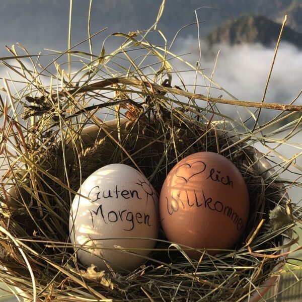 Vrolijke eitjes bij het ontbijt in Zuid-Tirol