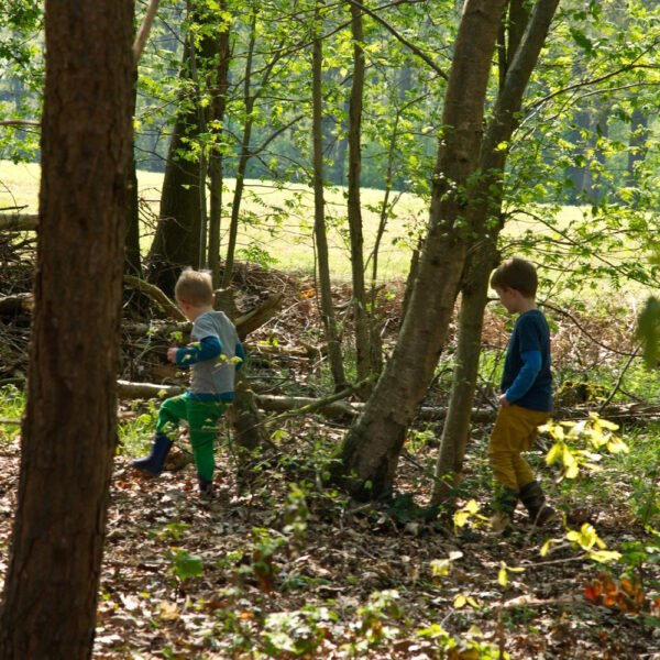 Kinderen spelen in het bos