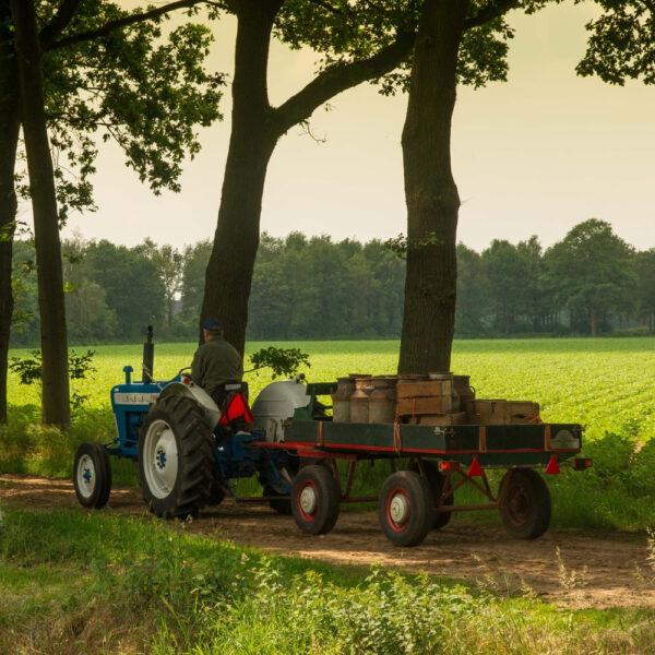 Tractor op een landweg met een aanhanger met melkflessen