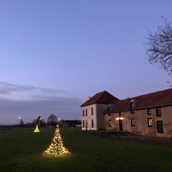 Verlichte kerstbomen in de tuin van Hoeve Beusdalshof