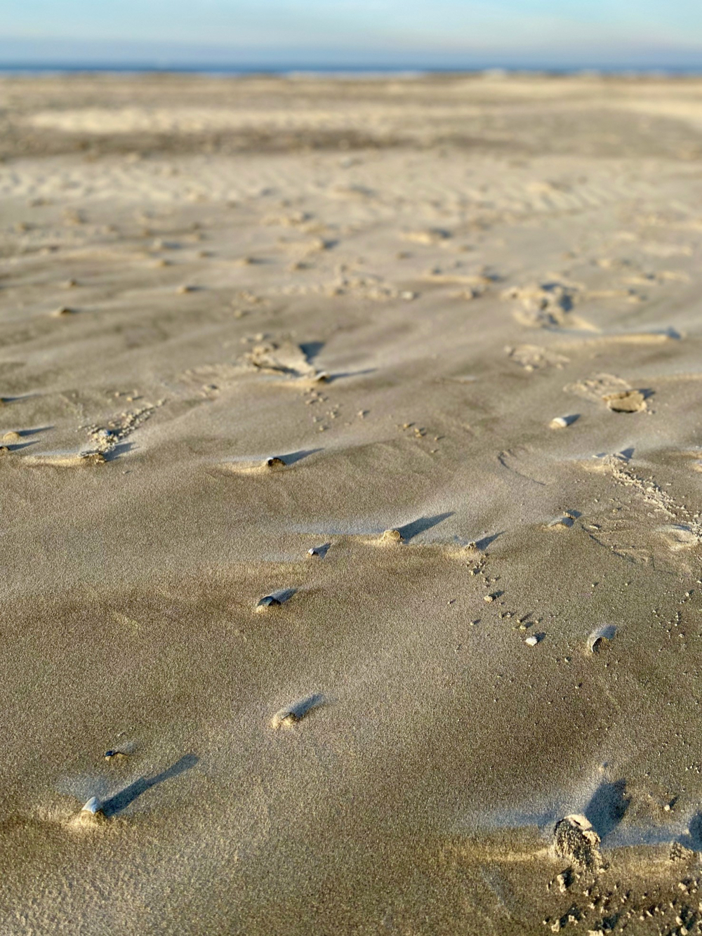 Langgerekte zandstranden op Schiermonnikoog