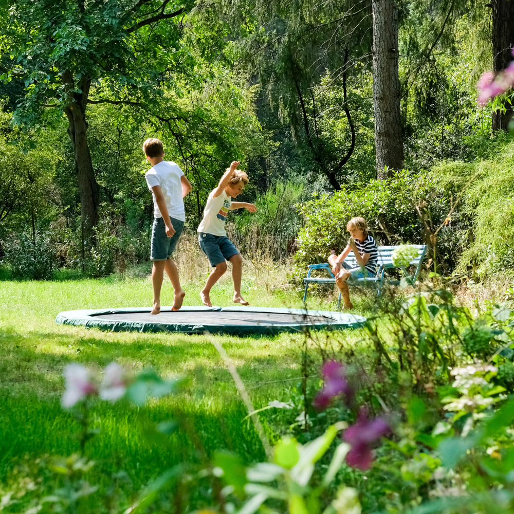 Tuin met trampoline bij het boshuis