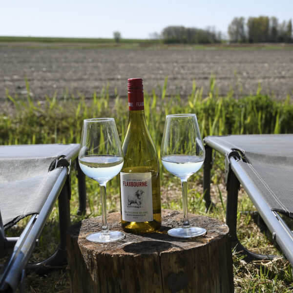 Genieten aan de rand van het erf met uitzicht over de weilanden