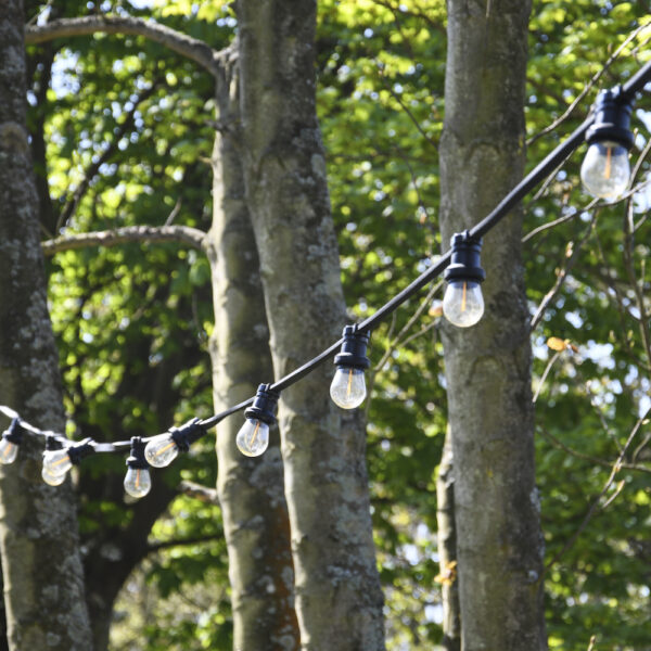 Lampjes slinger in de tuin van de B&B