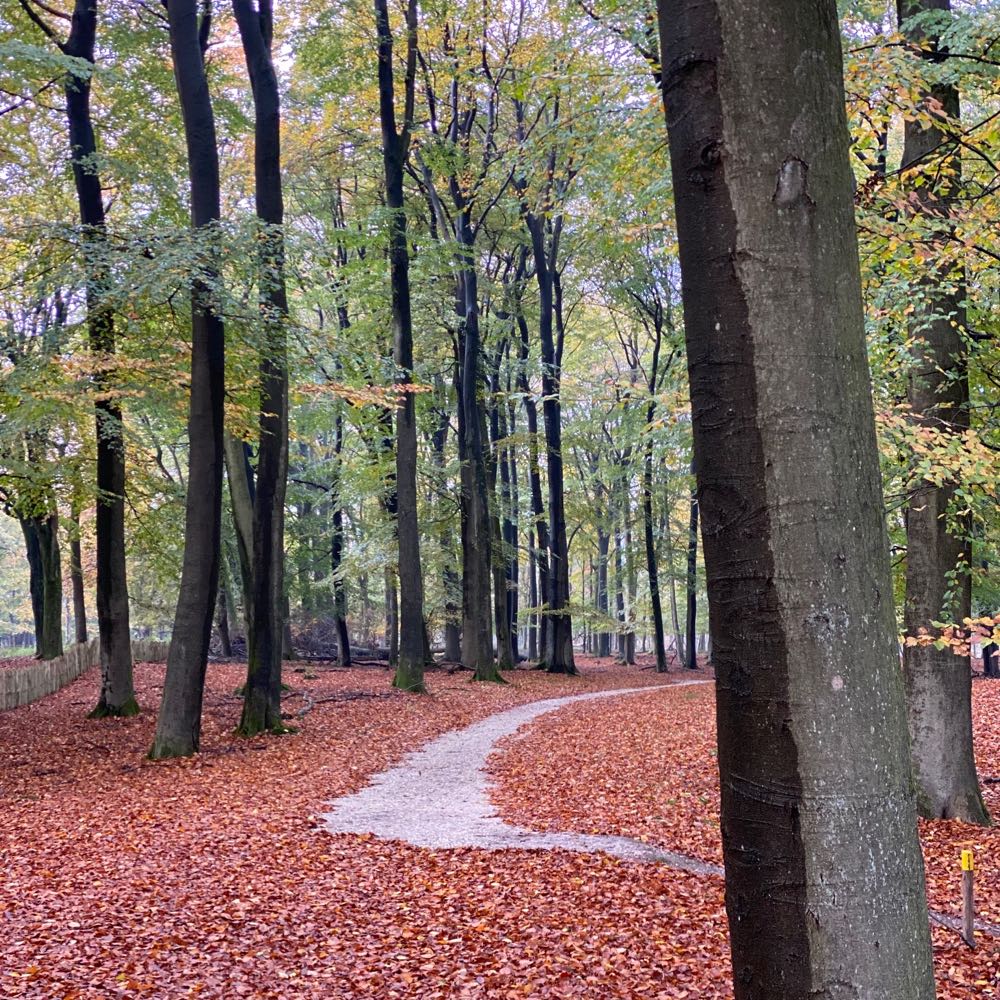 Wandelpad in het Kroondomein