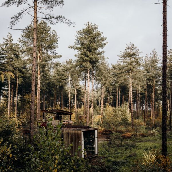 Cabins verstopt in het bos