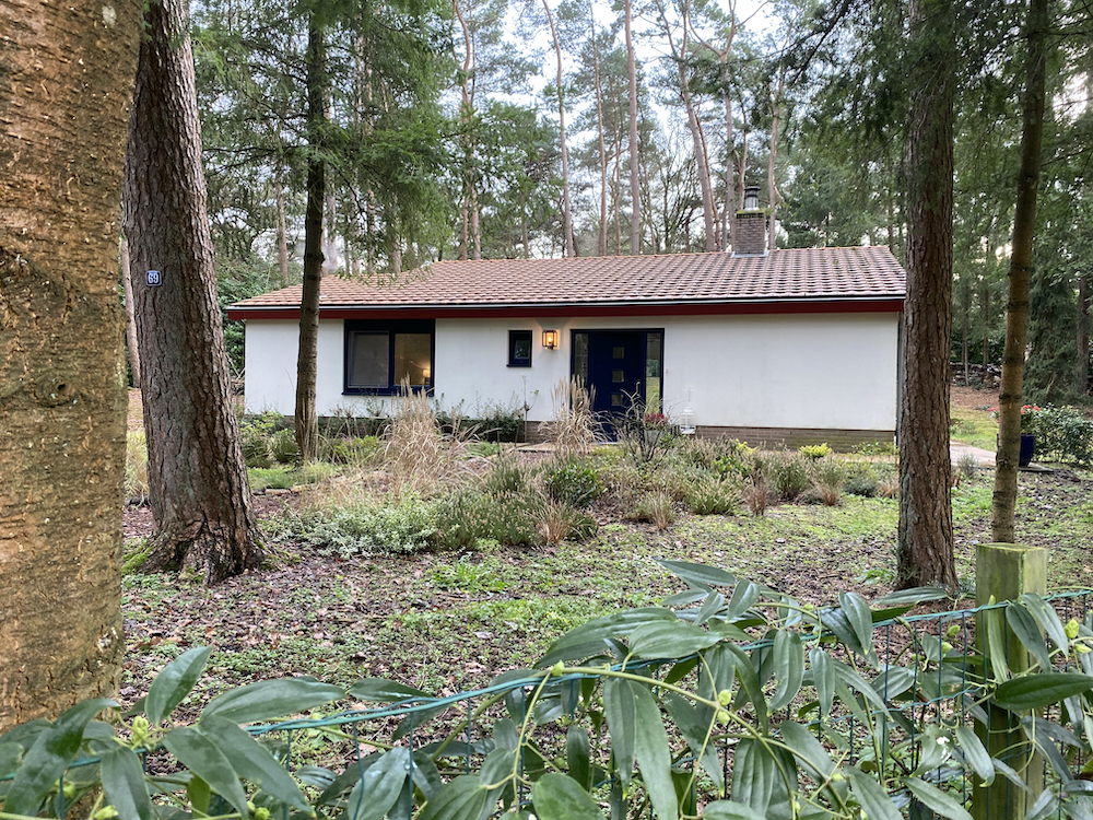 Witte vakantiebungalow in het bos