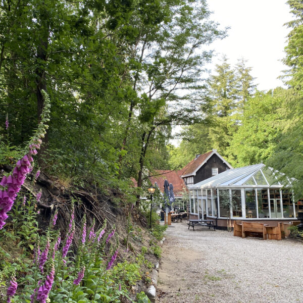 Restaurant in het bos bij Nunspeet
